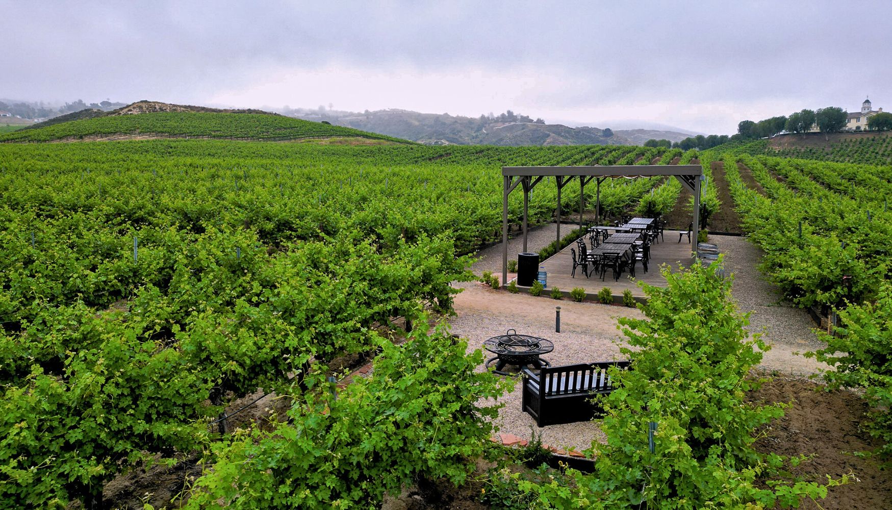 Outdoor seating area surrounded by lush rows of a vineyard in Temecula, with hills and a winery building in the distance.