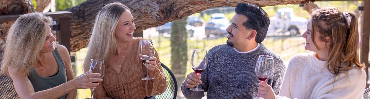 People toasting with wine on a Santa Barbara wine tour